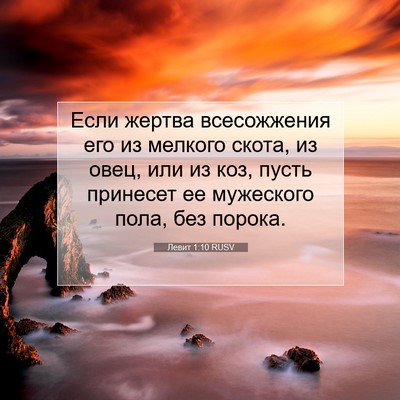Picture 07 - Левит 1:10 RUSV - Если жертва всесожжения - Bible Verse Picture