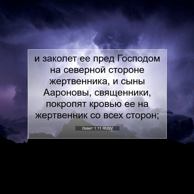 Picture 07 - Левит 1:11 RUSV - и заколет ее пред Господом - Bible Verse Picture