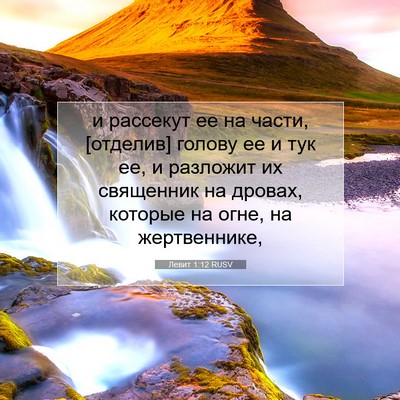 Picture 07 - Левит 1:12 RUSV - и рассекут ее на части, - Bible Verse Picture
