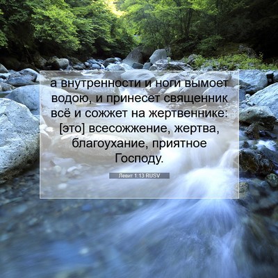 Picture 07 - Левит 1:13 RUSV - а внутренности и ноги - Bible Verse Picture