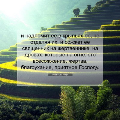 Picture 07 - Левит 1:17 RUSV - и надломит ее в крыльях ее, - Bible Verse Picture