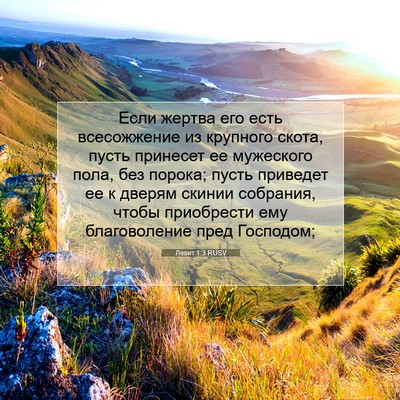 Picture 07 - Левит 1:3 RUSV - Если жертва его есть - Bible Verse Picture