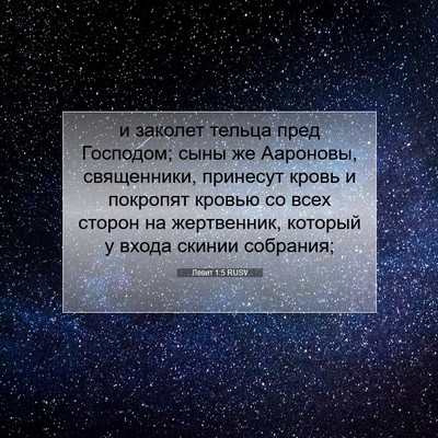 Picture 07 - Левит 1:5 RUSV - и заколет тельца пред - Bible Verse Picture