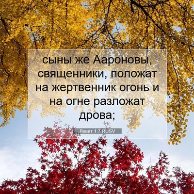 Picture 07 - Левит 1:7 RUSV - сыны же Аароновы, - Bible Verse Picture