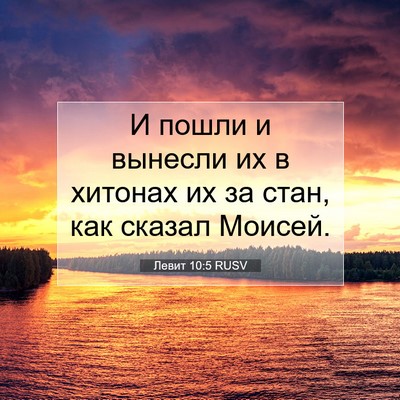 Picture 07 - Левит 10:5 RUSV - И пошли и вынесли их в - Bible Verse Picture