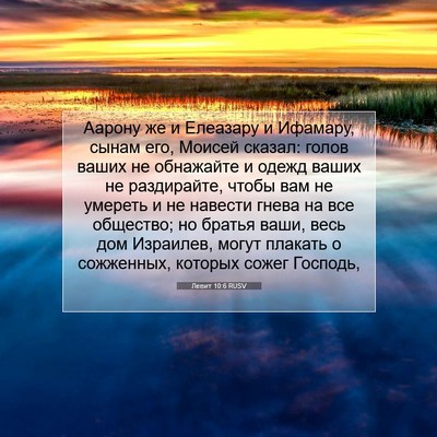 Picture 07 - Левит 10:6 RUSV - Аарону же и Елеазару и - Bible Verse Picture