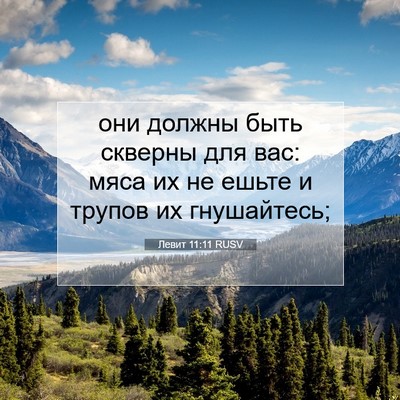 Picture 07 - Левит 11:11 RUSV - они должны быть скверны - Bible Verse Picture