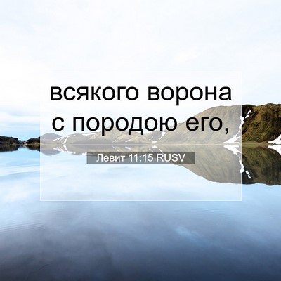 Picture 07 - Левит 11:15 RUSV - всякого ворона с породою - Bible Verse Picture