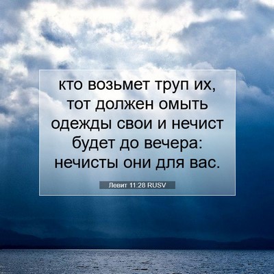 Picture 07 - Левит 11:28 RUSV - кто возьмет труп их, тот - Bible Verse Picture