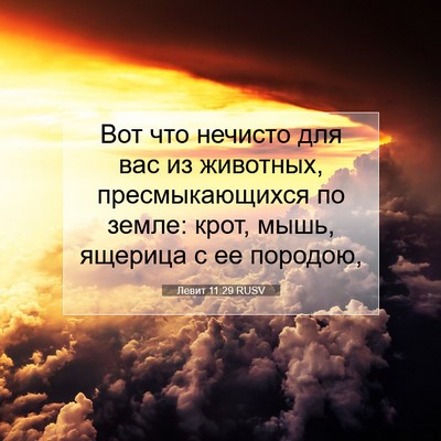 Picture 07 - Левит 11:29 RUSV - Вот что нечисто для вас из - Bible Verse Picture
