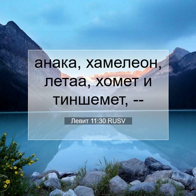 Picture 07 - Левит 11:30 RUSV - анака, хамелеон, летаа, - Bible Verse Picture