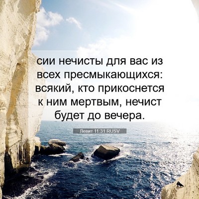 Picture 07 - Левит 11:31 RUSV - сии нечисты для вас из всех - Bible Verse Picture