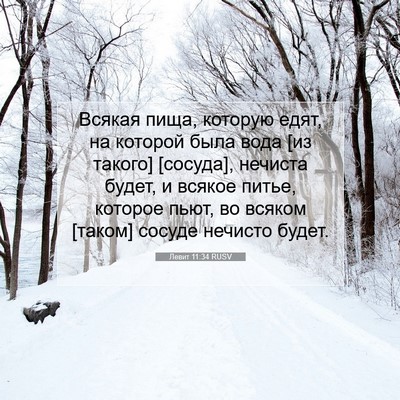 Picture 07 - Левит 11:34 RUSV - Всякая пища, которую едят, - Bible Verse Picture