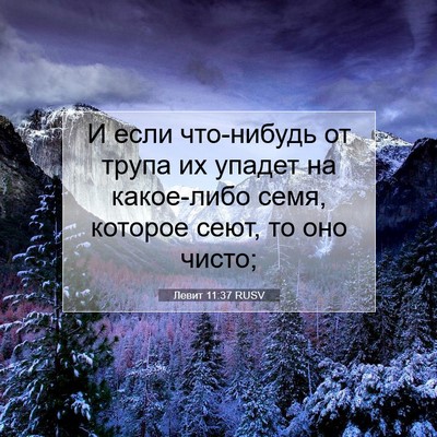 Picture 07 - Левит 11:37 RUSV - И если что-нибудь от трупа - Bible Verse Picture