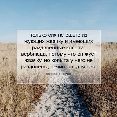 Picture 07 - Левит 11:4 RUSV - только сих не ешьте из - Bible Verse Picture