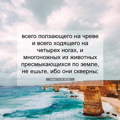 Picture 07 - Левит 11:42 RUSV - всего ползающего на чреве - Bible Verse Picture
