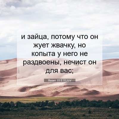 Picture 07 - Левит 11:6 RUSV - и зайца, потому что он жует - Bible Verse Picture