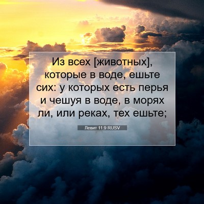 Picture 07 - Левит 11:9 RUSV - Из всех [животных], которые - Bible Verse Picture