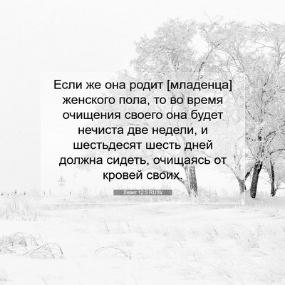 Picture 07 - Левит 12:5 RUSV - Если же она родит - Bible Verse Picture