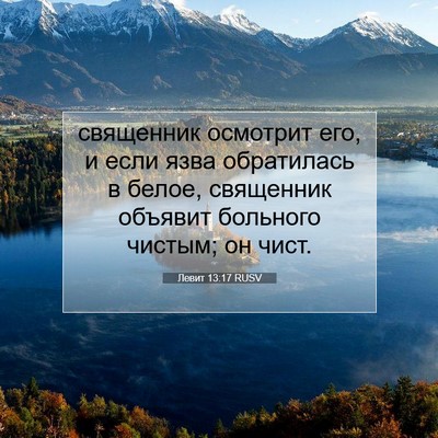 Picture 07 - Левит 13:17 RUSV - священник осмотрит его, и - Bible Verse Picture