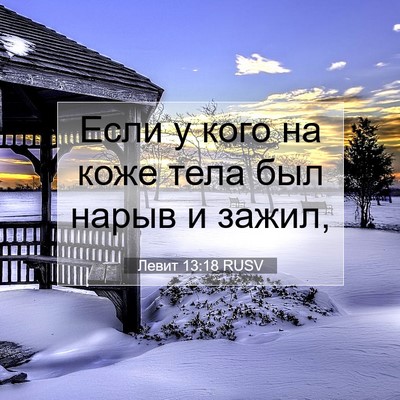 Picture 07 - Левит 13:18 RUSV - Если у кого на коже тела - Bible Verse Picture