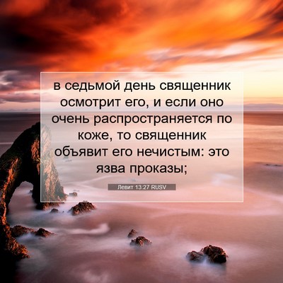 Picture 07 - Левит 13:27 RUSV - в седьмой день священник - Bible Verse Picture