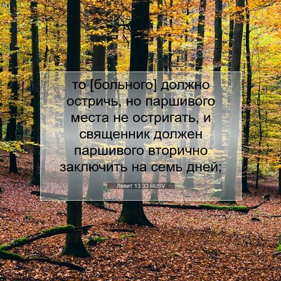 Picture 07 - Левит 13:33 RUSV - то [больного] должно - Bible Verse Picture