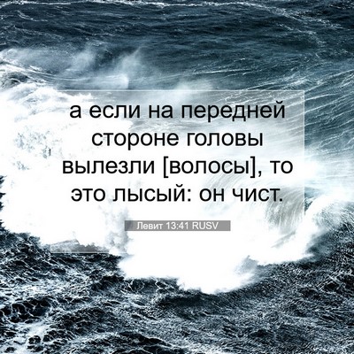 Picture 07 - Левит 13:41 RUSV - а если на передней стороне - Bible Verse Picture