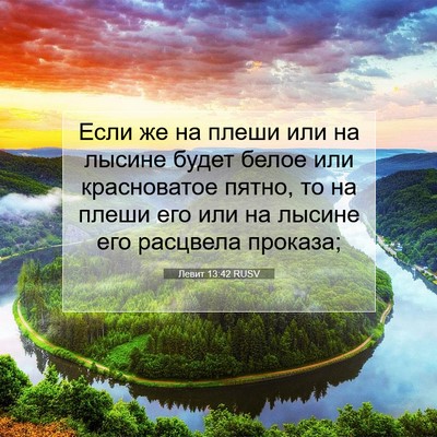 Picture 07 - Левит 13:42 RUSV - Если же на плеши или на - Bible Verse Picture