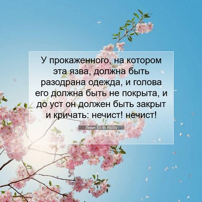 Picture 07 - Левит 13:45 RUSV - У прокаженного, на котором - Bible Verse Picture