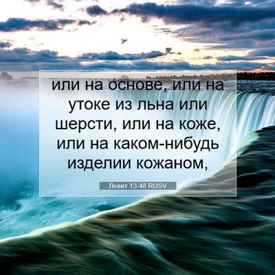 Picture 07 - Левит 13:48 RUSV - или на основе, или на утоке - Bible Verse Picture