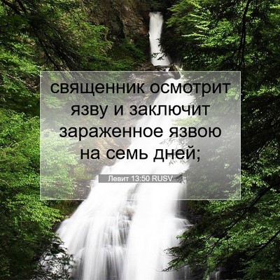 Picture 07 - Левит 13:50 RUSV - священник осмотрит язву и - Bible Verse Picture