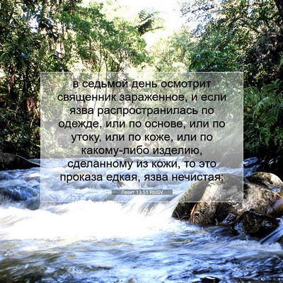 Picture 07 - Левит 13:51 RUSV - в седьмой день осмотрит - Bible Verse Picture