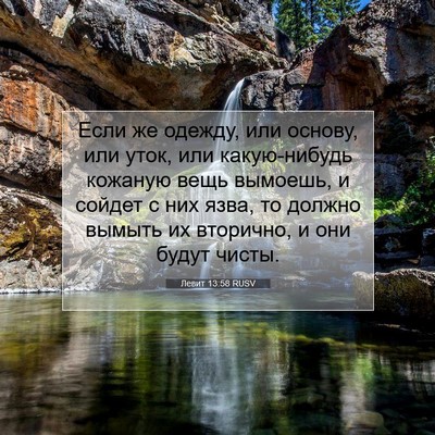 Picture 07 - Левит 13:58 RUSV - Если же одежду, или основу, - Bible Verse Picture
