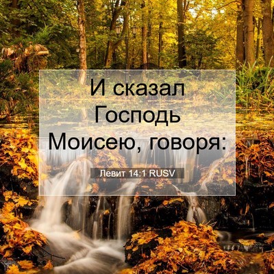 Picture 07 - Левит 14:1 RUSV - И сказал Господь Моисею, - Bible Verse Picture