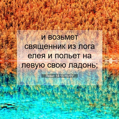Picture 07 - Левит 14:15 RUSV - и возьмет священник из - Bible Verse Picture