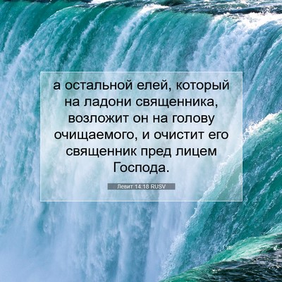 Picture 07 - Левит 14:18 RUSV - а остальной елей, который - Bible Verse Picture