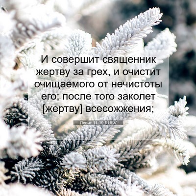 Picture 07 - Левит 14:19 RUSV - И совершит священник - Bible Verse Picture