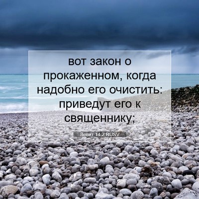 Picture 07 - Левит 14:2 RUSV - вот закон о прокаженном, - Bible Verse Picture