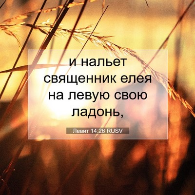 Picture 07 - Левит 14:26 RUSV - и нальет священник елея на - Bible Verse Picture