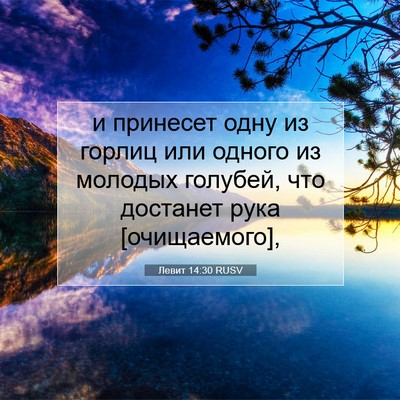 Picture 07 - Левит 14:30 RUSV - и принесет одну из горлиц - Bible Verse Picture