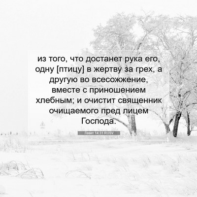 Picture 07 - Левит 14:31 RUSV - из того, что достанет рука - Bible Verse Picture