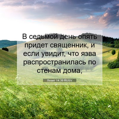 Picture 07 - Левит 14:39 RUSV - В седьмой день опять - Bible Verse Picture