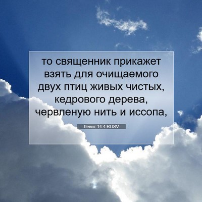 Picture 07 - Левит 14:4 RUSV - то священник прикажет - Bible Verse Picture