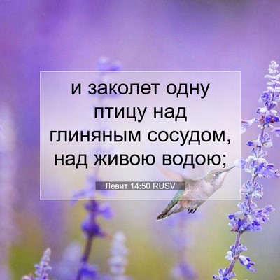 Picture 07 - Левит 14:50 RUSV - и заколет одну птицу над - Bible Verse Picture