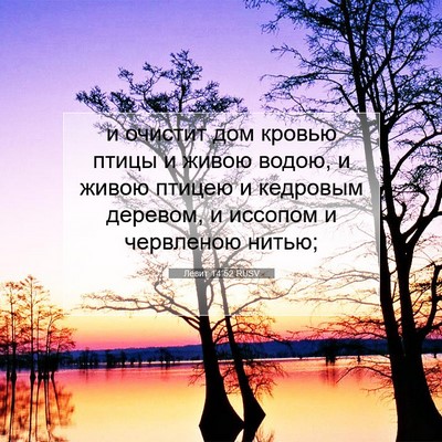 Picture 07 - Левит 14:52 RUSV - и очистит дом кровью птицы - Bible Verse Picture