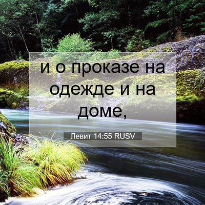 Picture 07 - Левит 14:55 RUSV - и о проказе на одежде и на - Bible Verse Picture