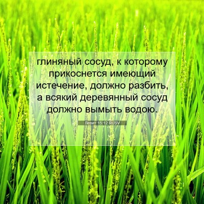 Picture 07 - Левит 15:12 RUSV - глиняный сосуд, к которому - Bible Verse Picture