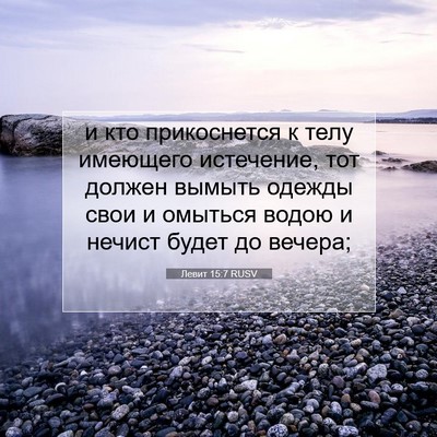 Picture 07 - Левит 15:7 RUSV - и кто прикоснется к телу - Bible Verse Picture