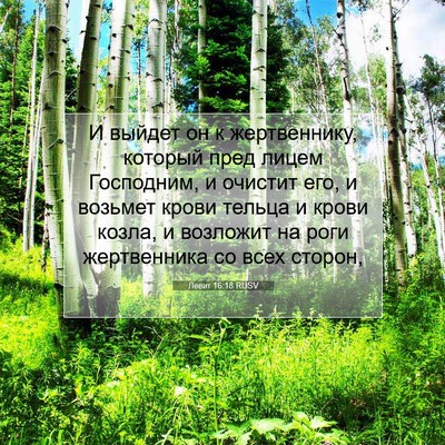 Picture 07 - Левит 16:18 RUSV - И выйдет он к жертвеннику, - Bible Verse Picture
